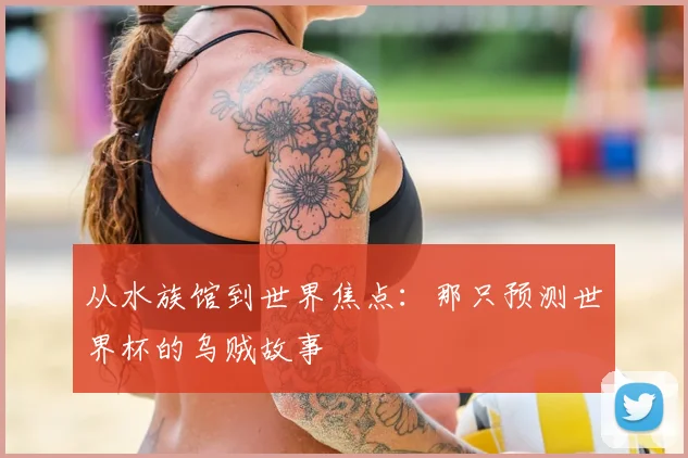 从水族馆到世界焦点:那只预测世界杯的乌贼故事
