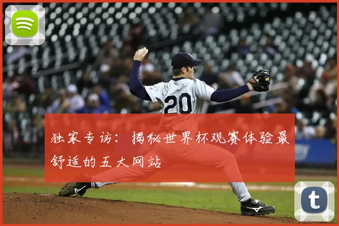 独家专访：揭秘世界杯观赛体验最舒适的五大网站