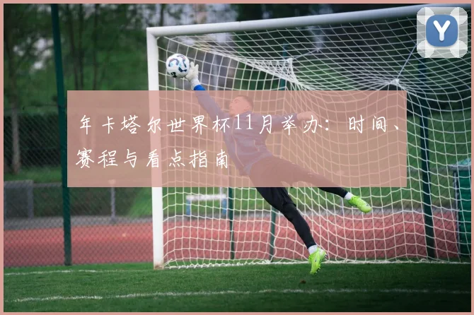年卡塔尔世界杯11月举办：时间、赛程与看点指南