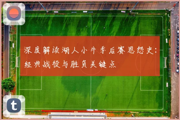 深度解读湖人小牛季后赛恩怨史：经典战役与胜负关键点