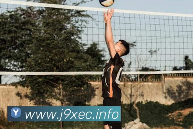 App Interface Preview