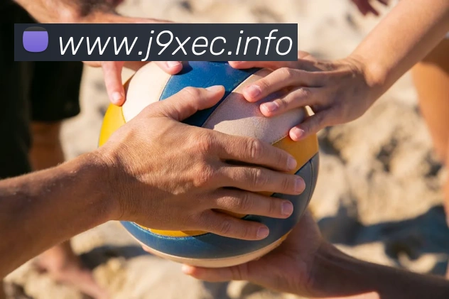 九游j9官网登陆APP 封面图